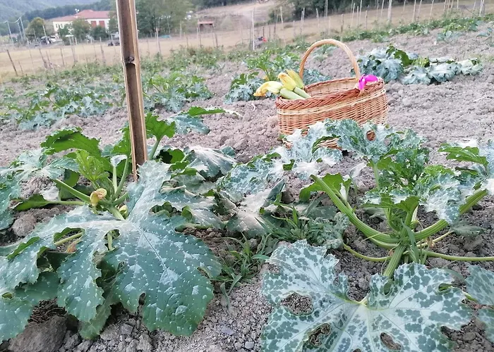 Agriturismo Dei Legi