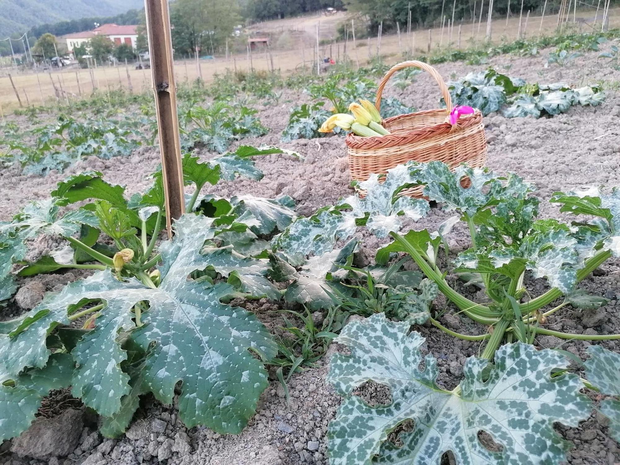 Farm stay Agriturismo Dei Legi