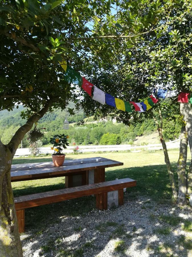 Agriturismo Dei Legi *