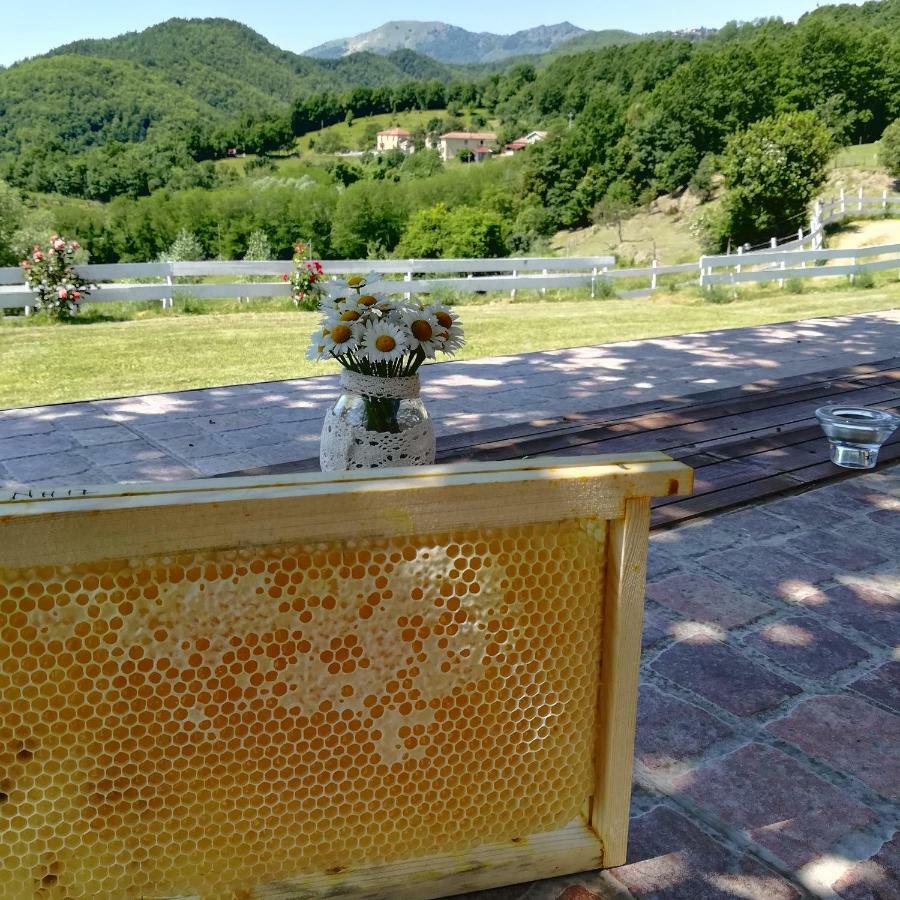 Farm stay Agriturismo Dei Legi