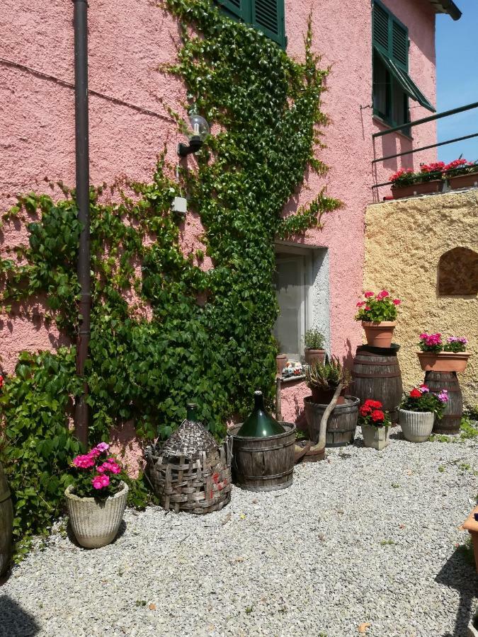 Farm stay Agriturismo Dei Legi