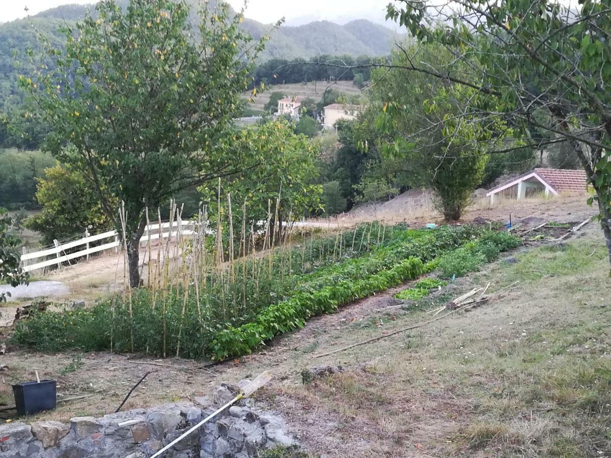 Farm stay Agriturismo Dei Legi *