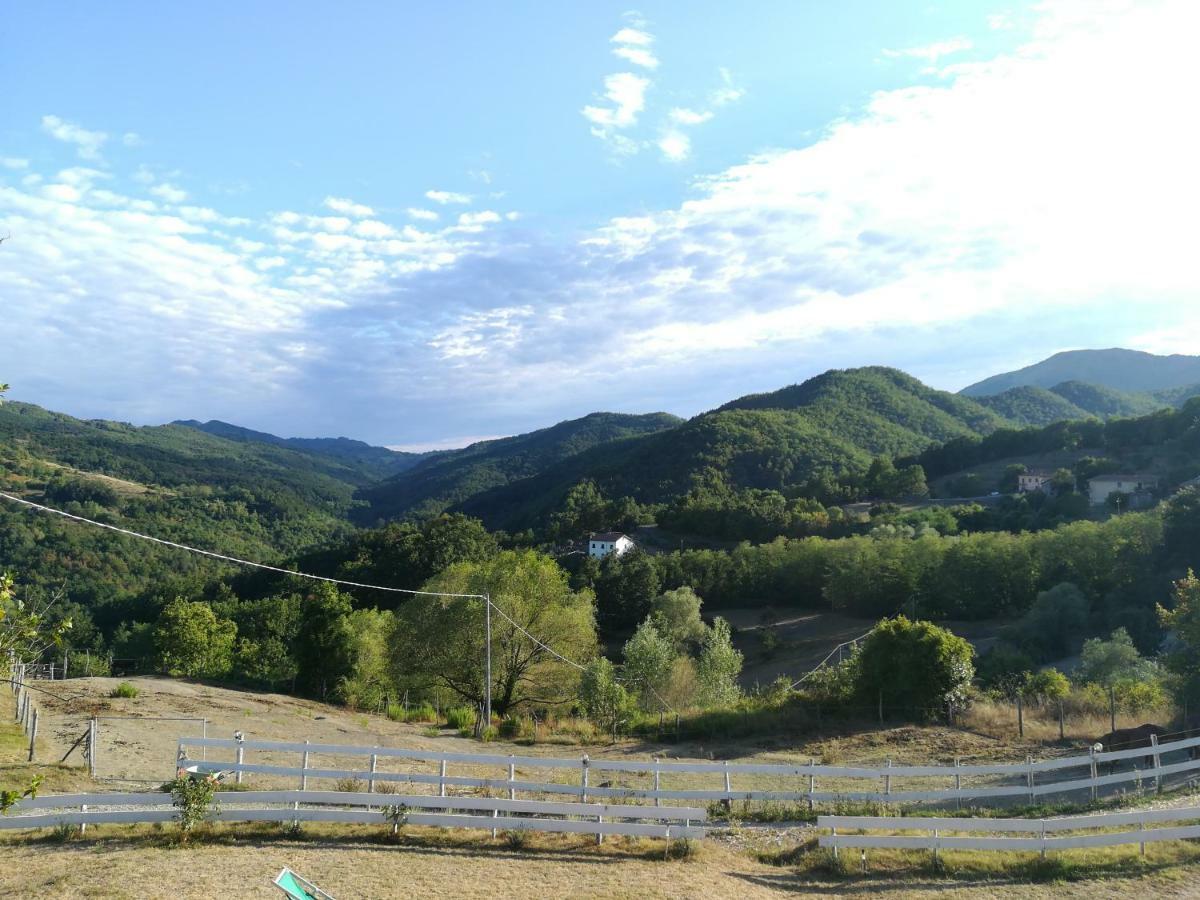 Dei Legi Alloggio per agriturismo San Pietro Vara