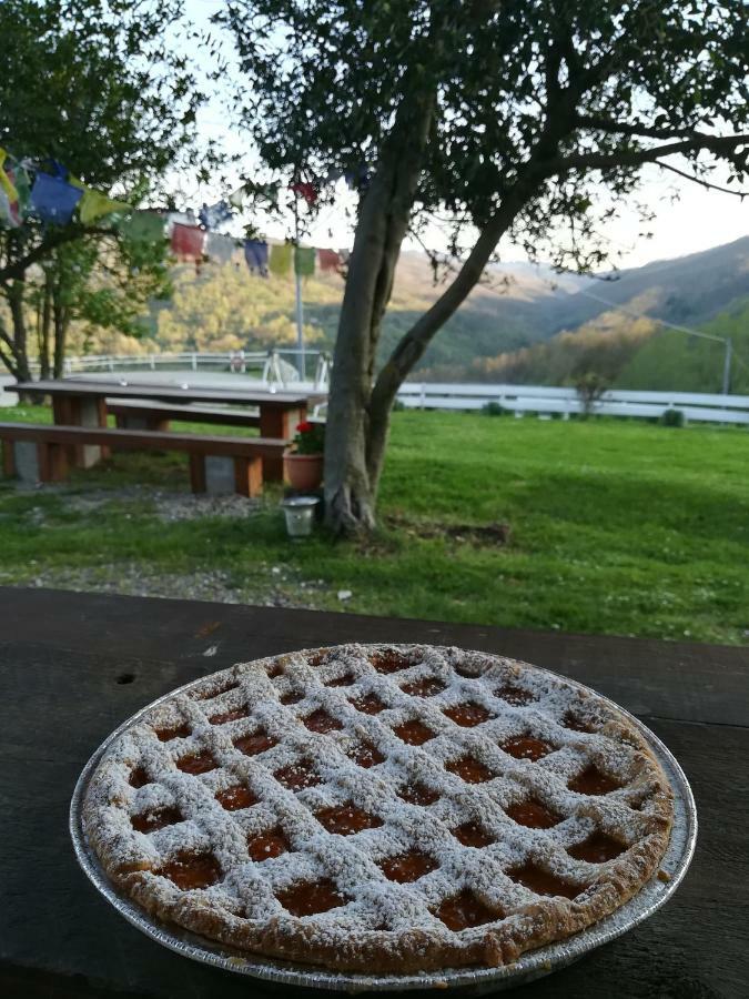 Agriturismo Dei Legi Farm stay *